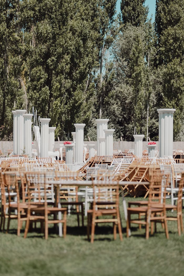 why-choose-us Outdoor wedding setup with elegant chairs, columns, and greenery, perfect for receptions.